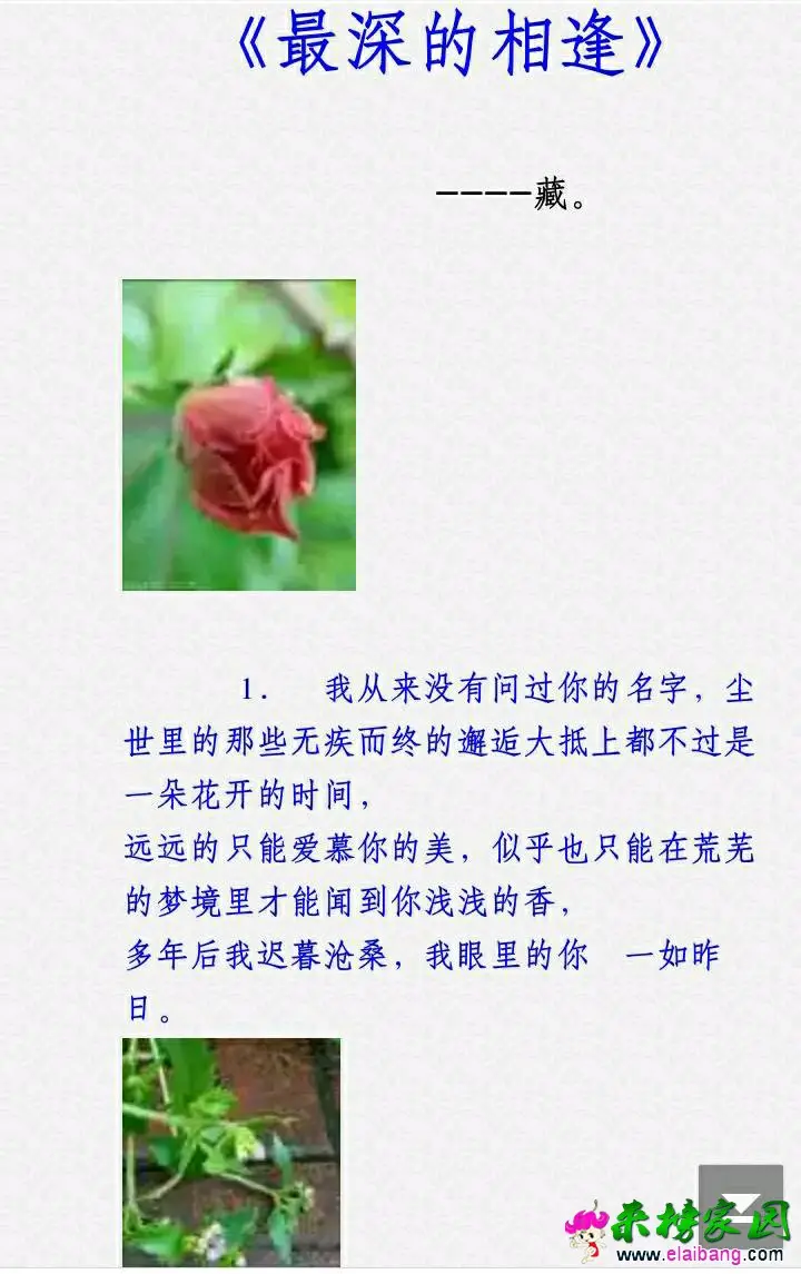 2000.webp