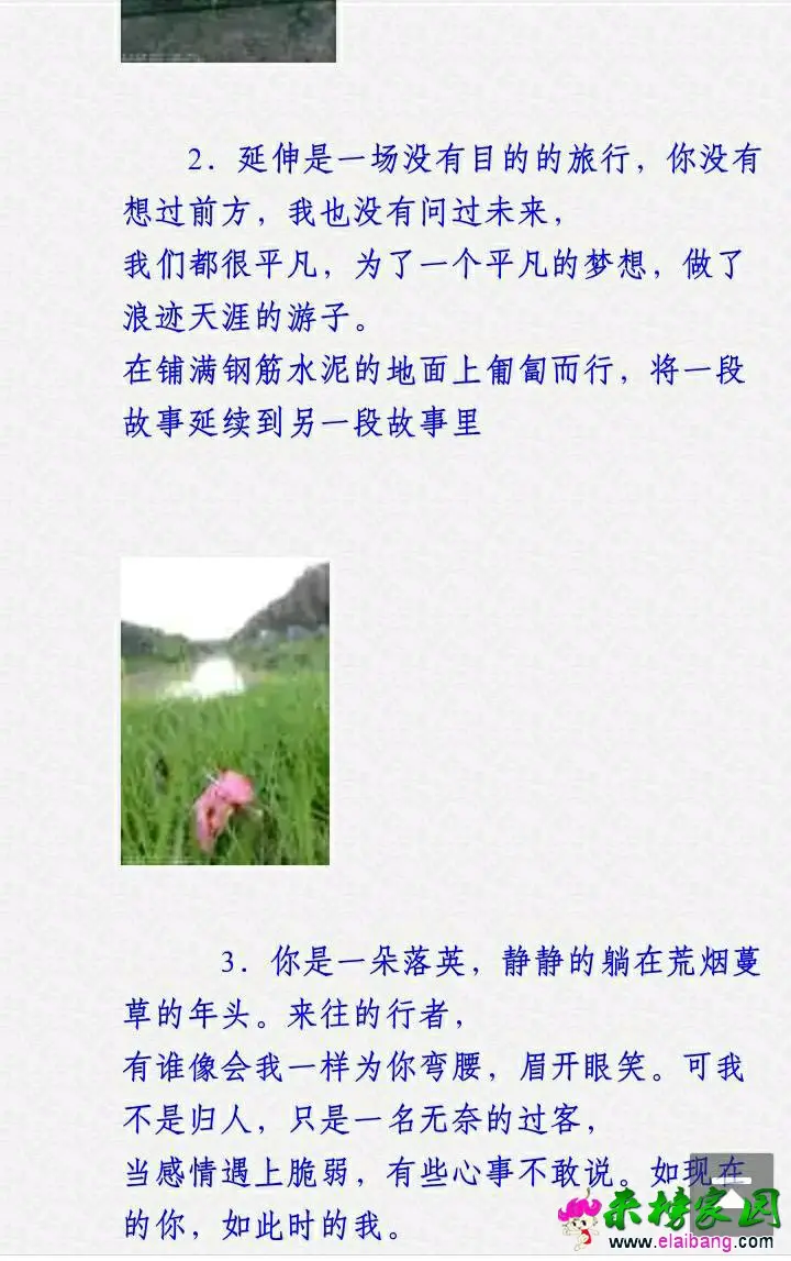 2000 (1).webp
