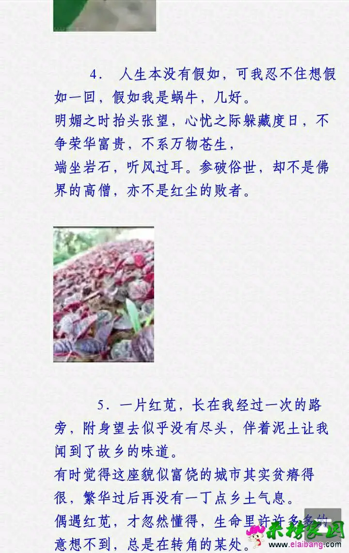 2000 (2).webp