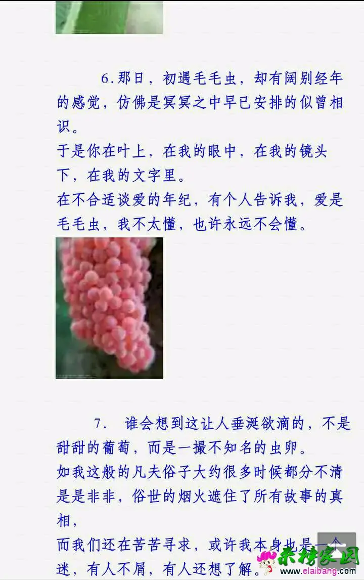 2000 (3).webp