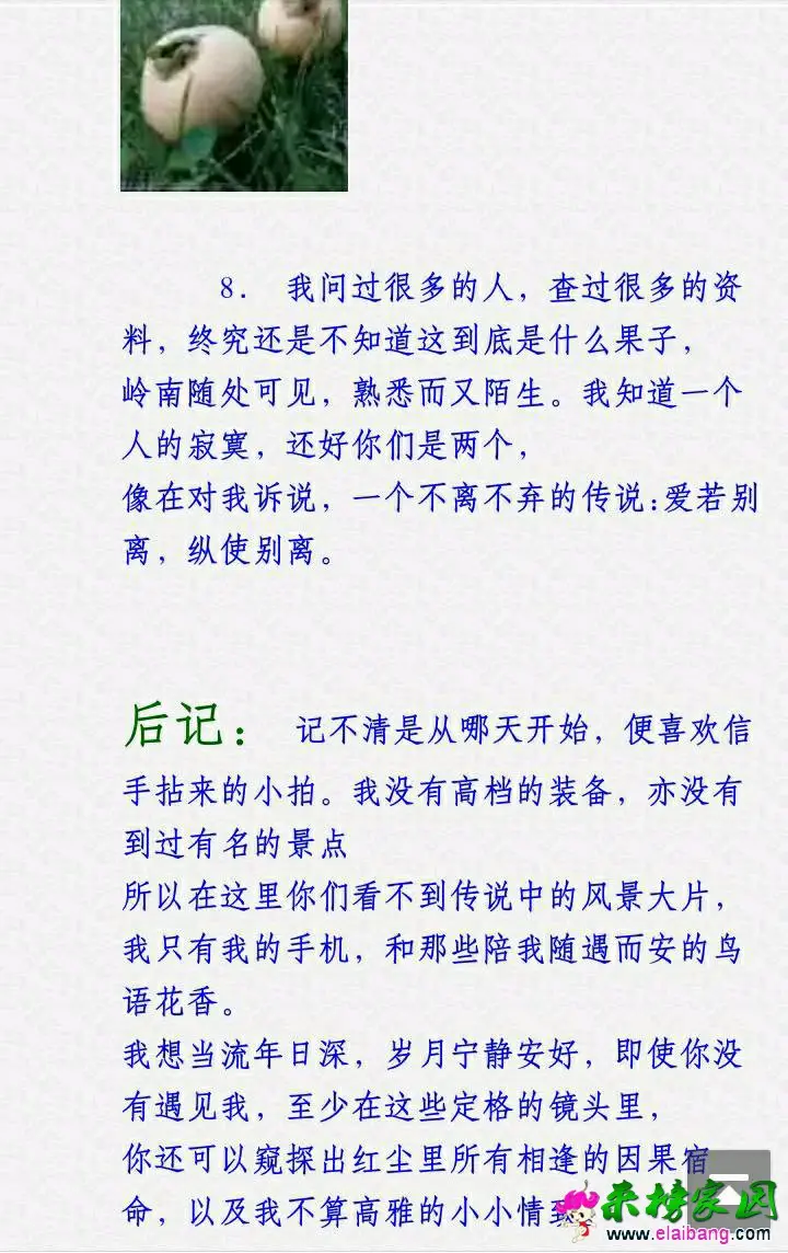 2000 (4).webp
