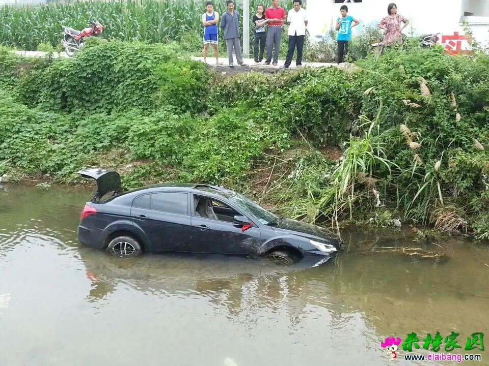 QQ图片20140727113030.webp