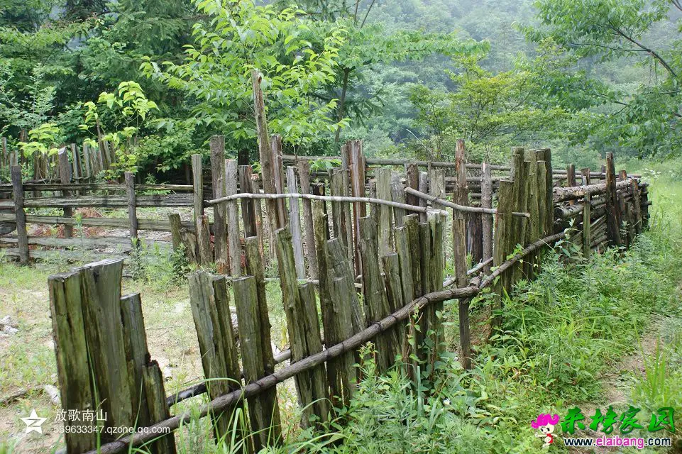 马元风光
