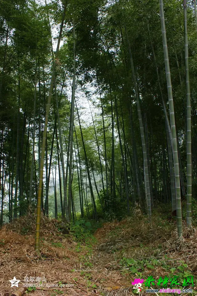 马元风光