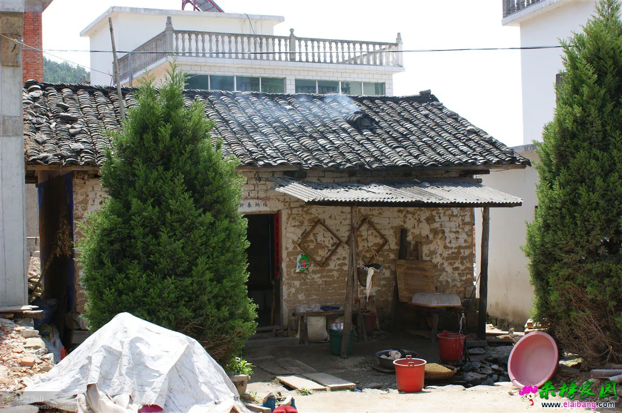 psb (25).webp