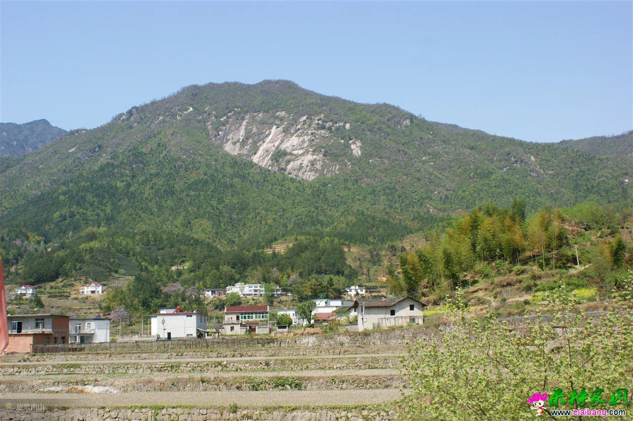 春到宝纛河