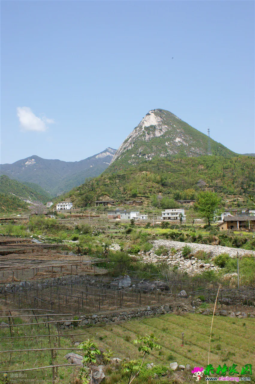 春到宝纛河