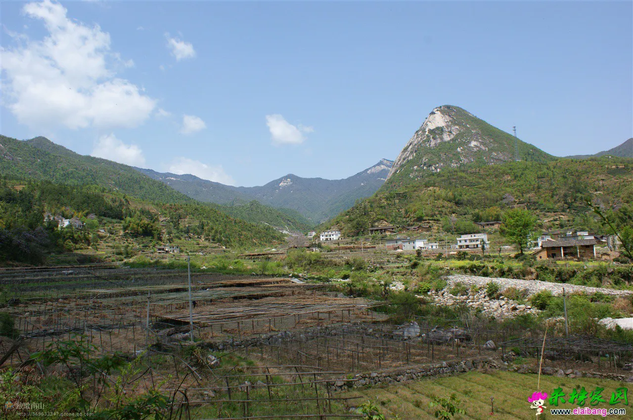 春到宝纛河