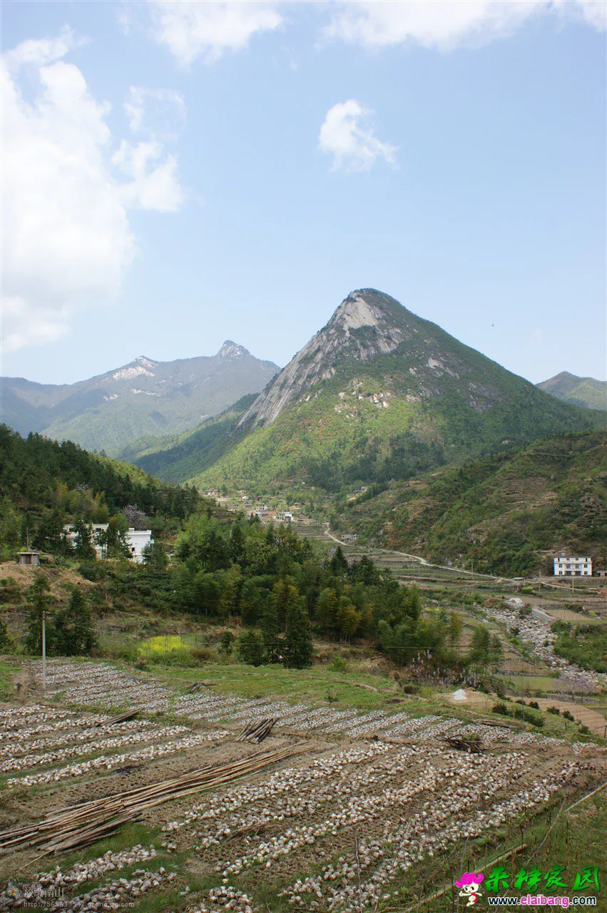 春到宝纛河
