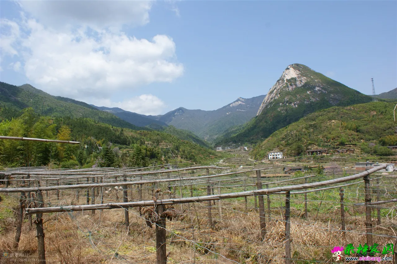 春到宝纛河
