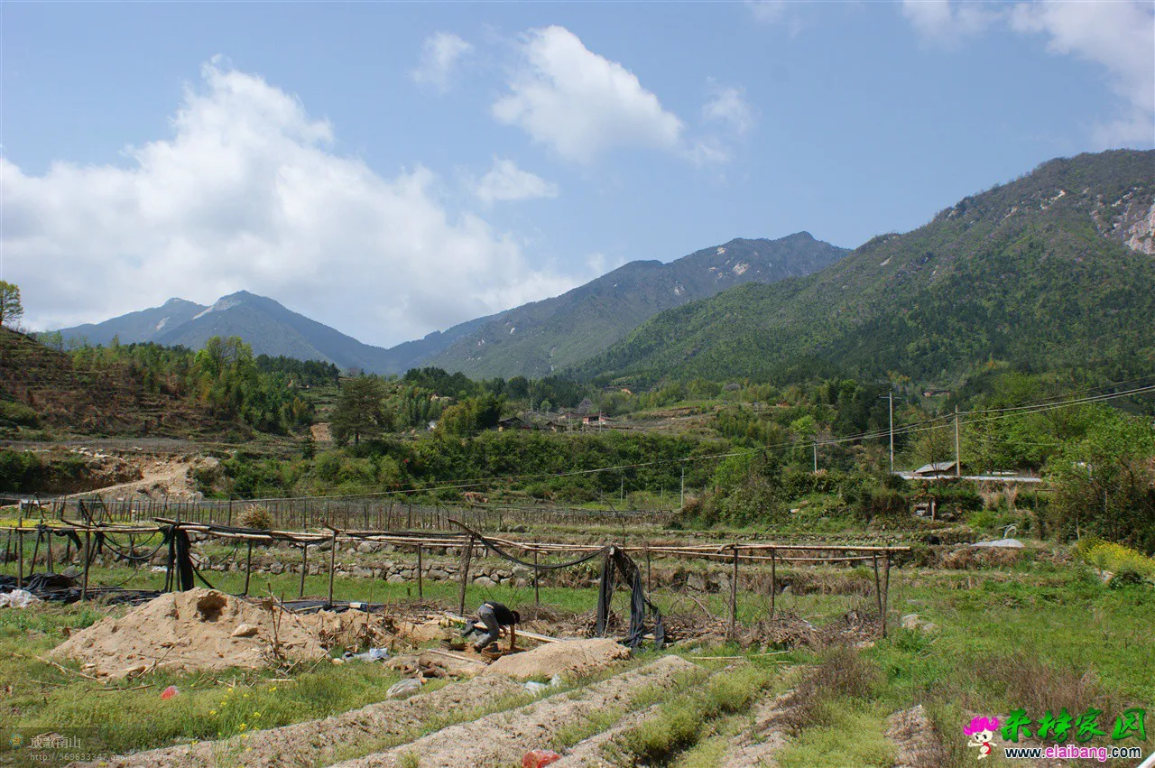 春到宝纛河