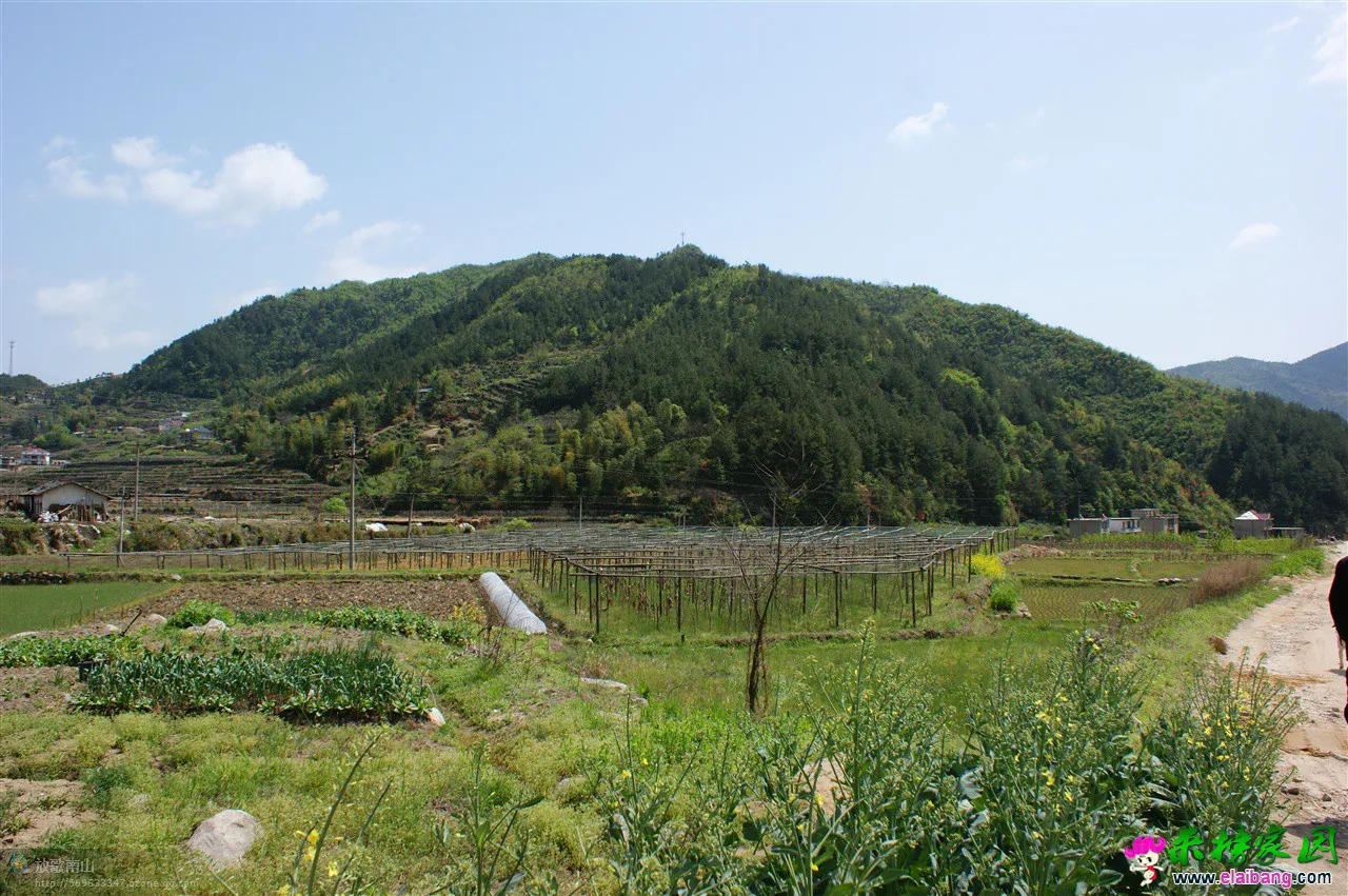 春到宝纛河