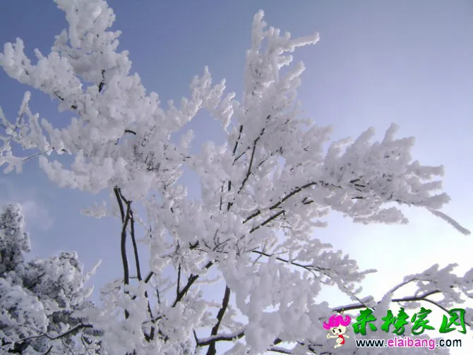 16.webp