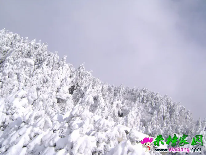 18.webp