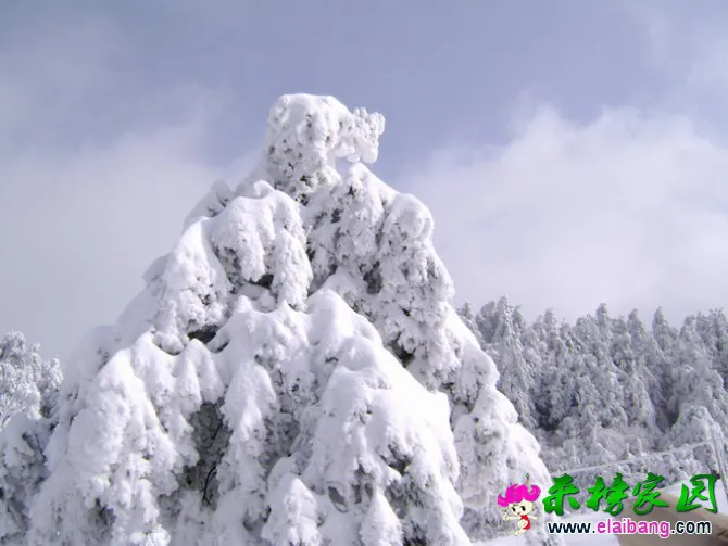 20.webp