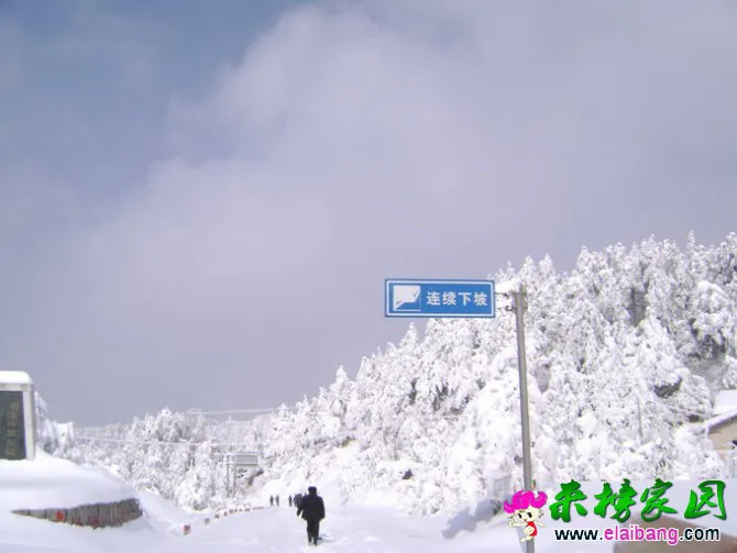 21.webp