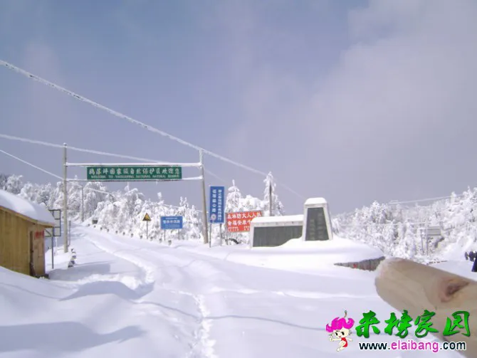 22.webp