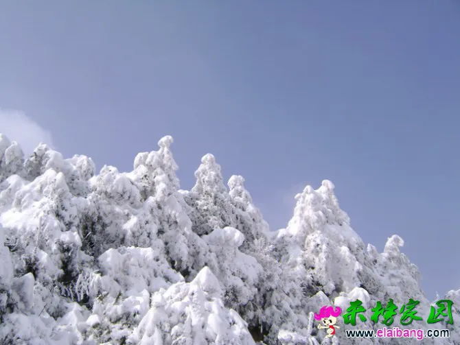 23.webp