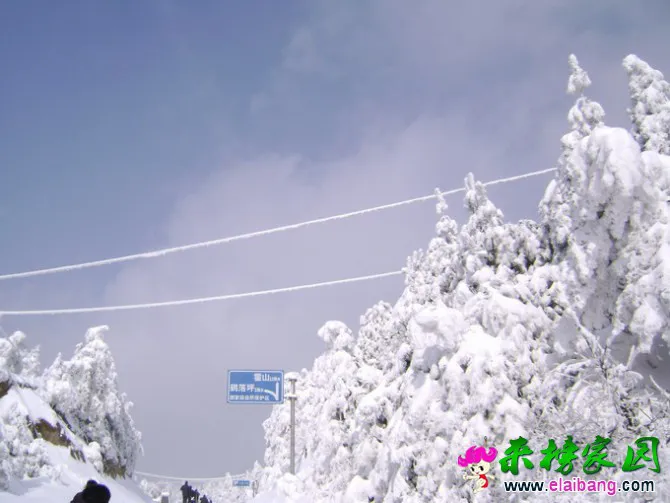 24.webp