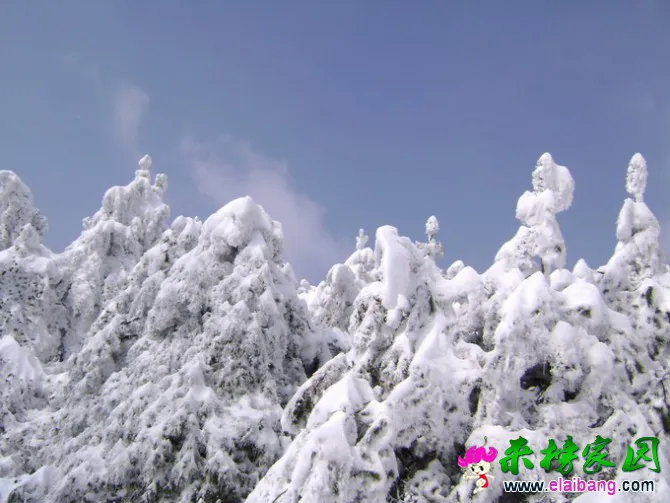 26.webp