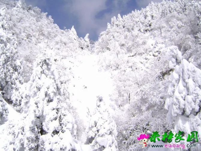 32.webp