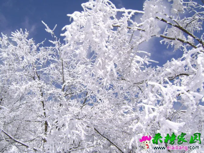 34.webp