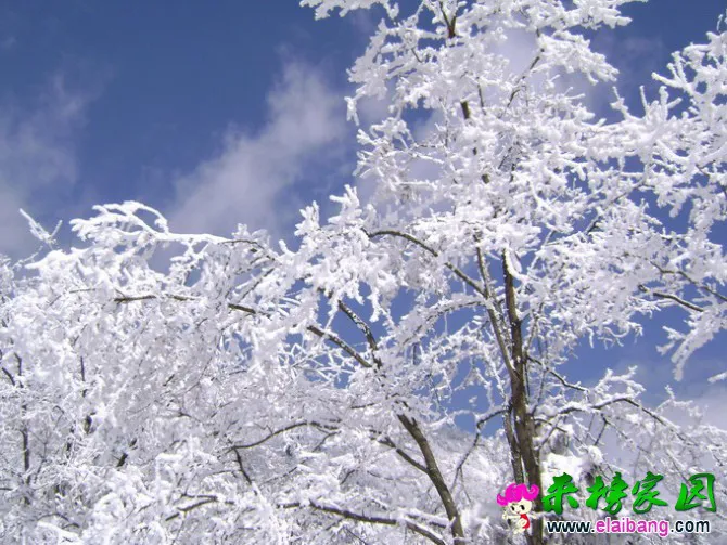35.webp