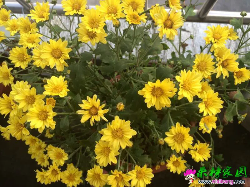 215149kxucxsahh5pzwhxx.webp
