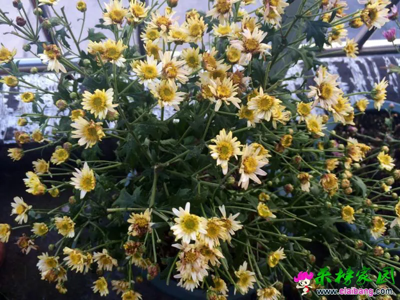 215201ocqr6znkknx1x7u7.webp