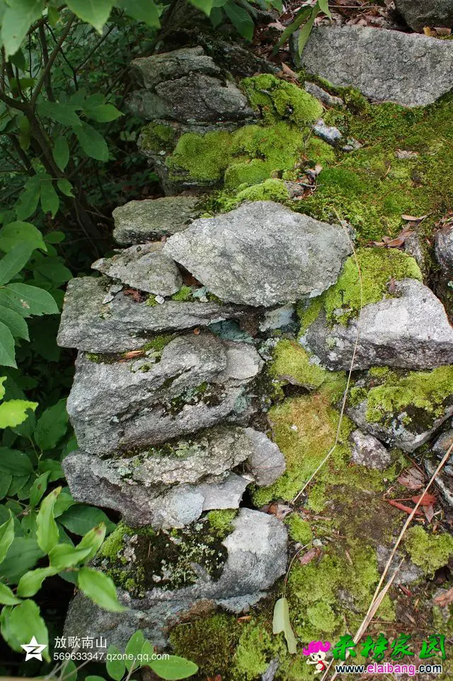 马园寨古石墙