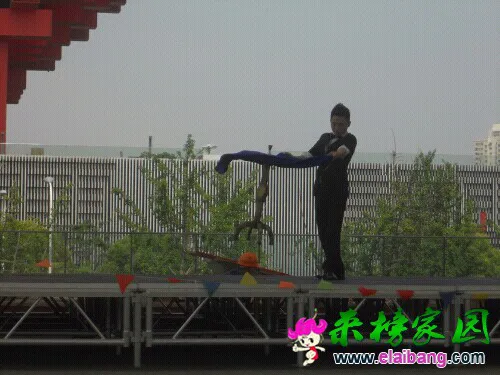 144712zqtabb8bqnq7s1hh.webp
