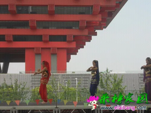 144714howx04xbxorohcb9.webp