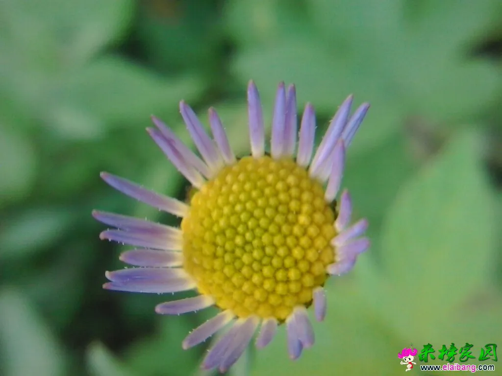 195119ju9ib4lhnaydu4qa.webp
