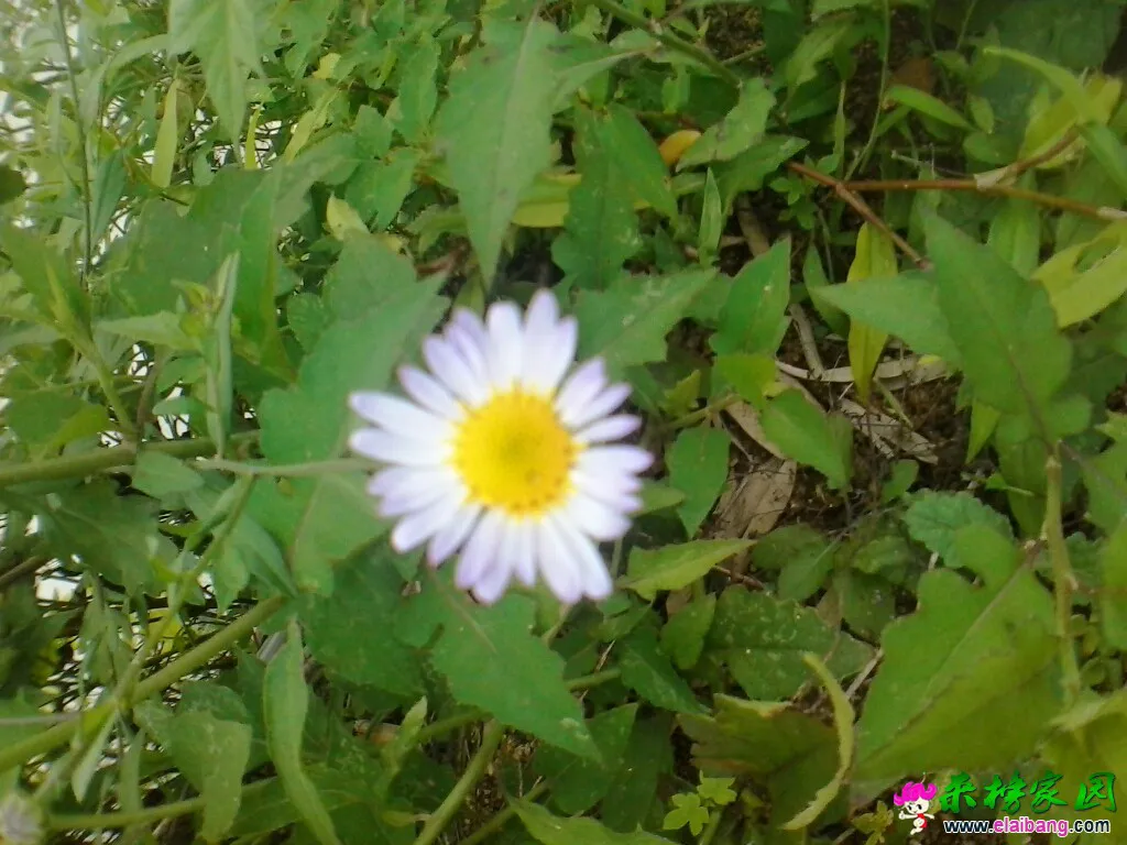 195130fyqmyylaoxiqkvff.webp