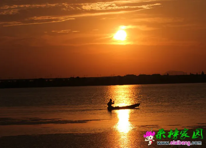 092551mpnpf2fx2n25b5g9.webp