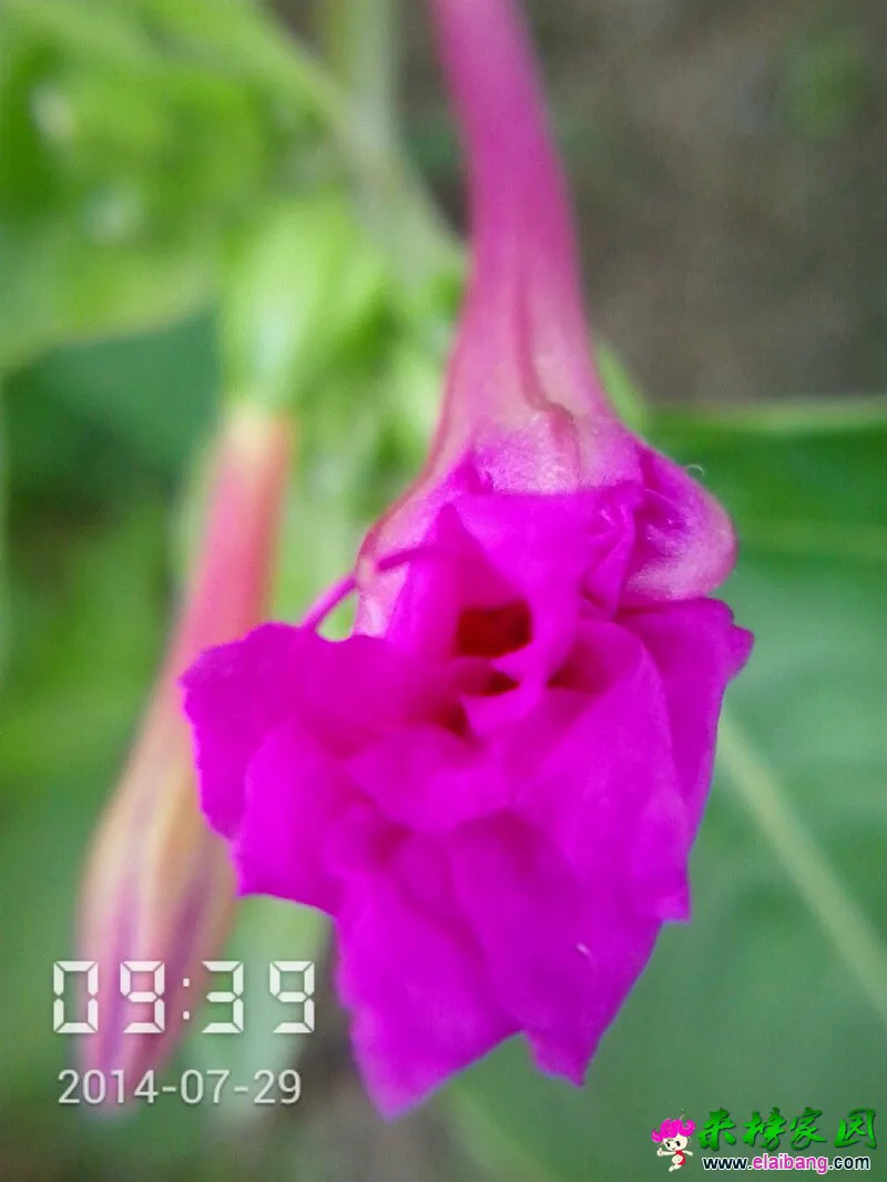 2014_07_29_09_39_54.webp