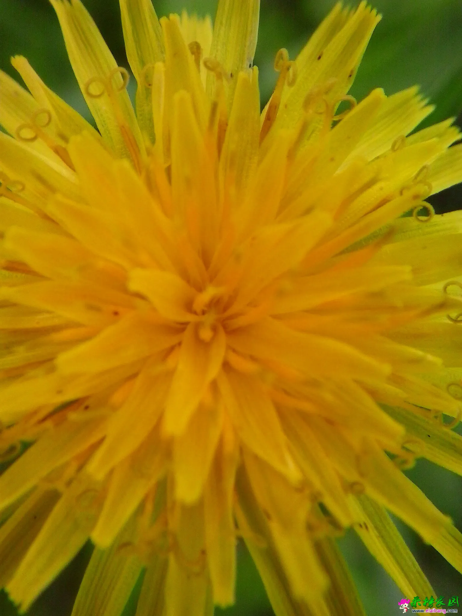 20140729_093302.webp