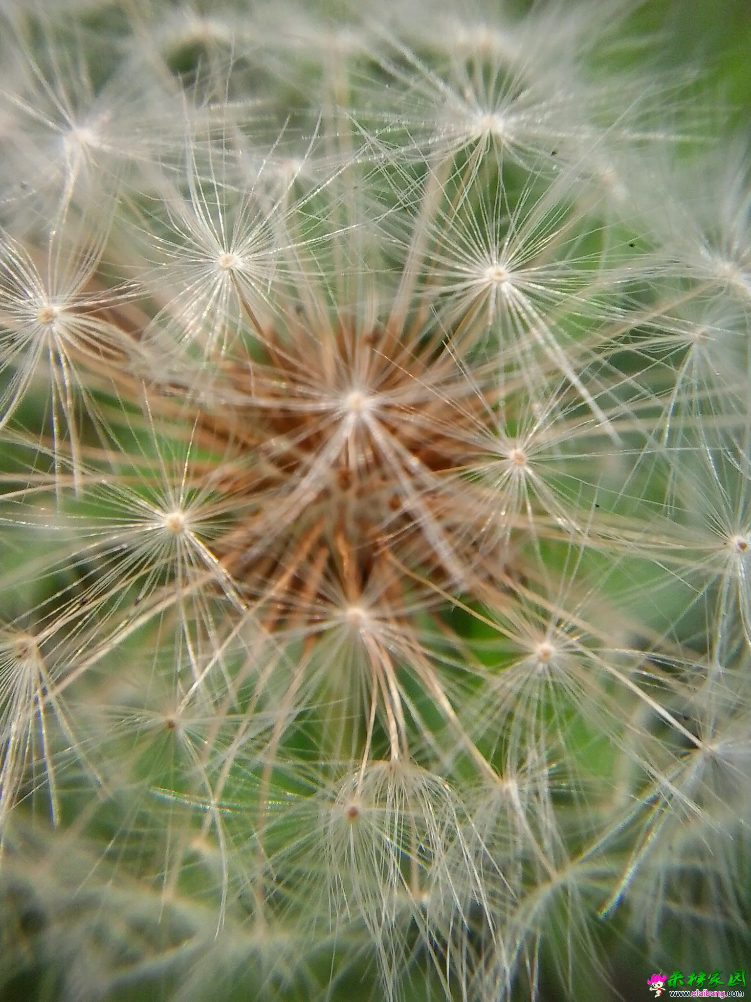 20140729_093317.webp