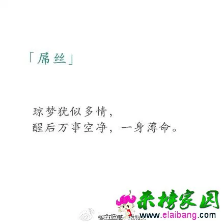 2000 (1).webp