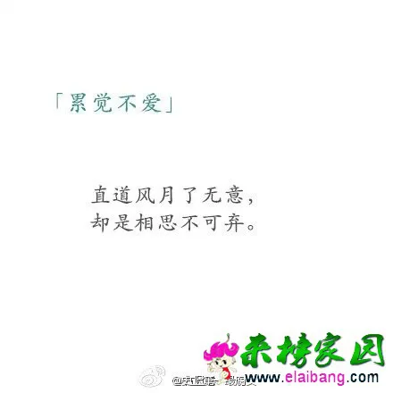2000 (5).webp