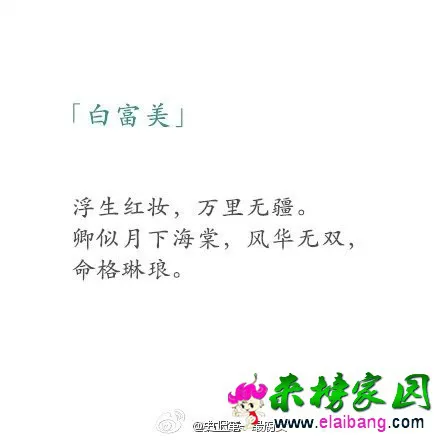 2000 (3).webp