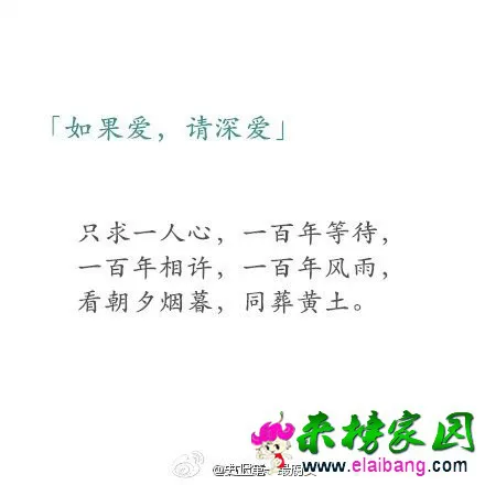 2000 (8).webp
