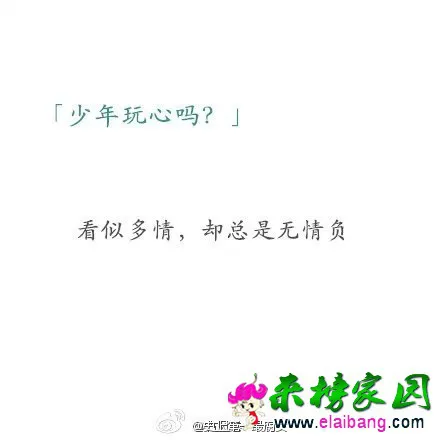 2000 (6).webp