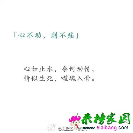 2000 (7).webp
