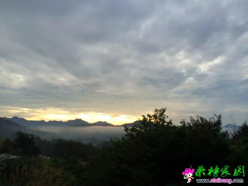 150331pwgkyqw3cr05zpu2.webp