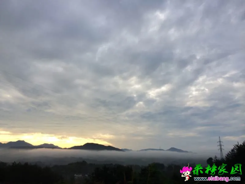 150346baq3pezuohqd5gne.webp