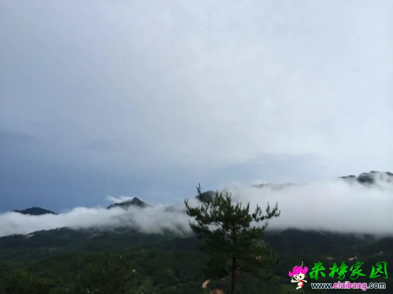 150350db5edbzaijeb01d0.webp