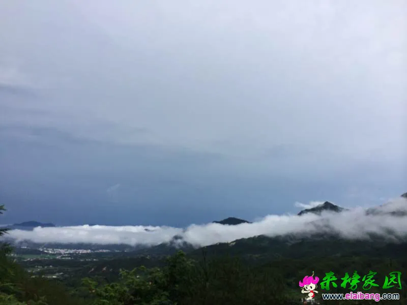 150352yoqzjf9jyjgp88yd.webp