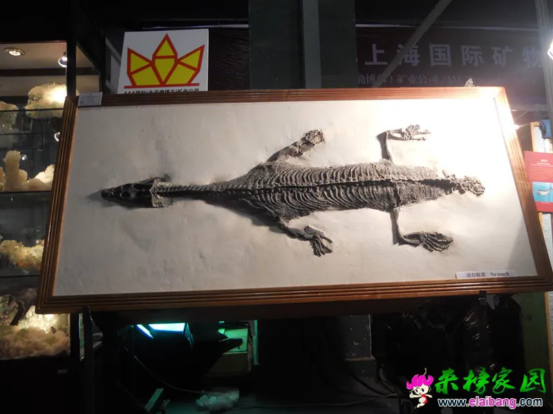 DSCN2929_副本.webp