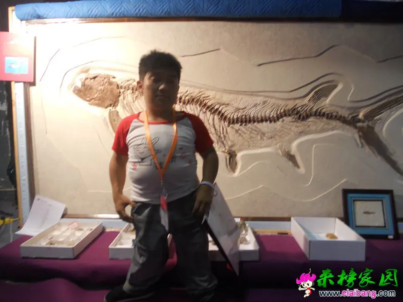 DSCN2925_副本.webp